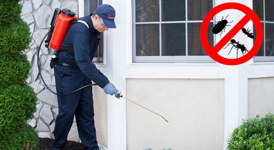 Kemah Dezenfeksiyon böcek ilaçlama ve haşere kontrolü — ilaclama-tr.com